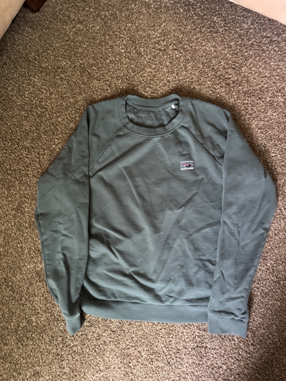Patagonia Women’s Crewneck Sweatshirt in Olive